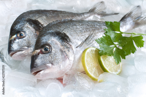 gilt-head bream (dorade) on ice at the seafood booth
