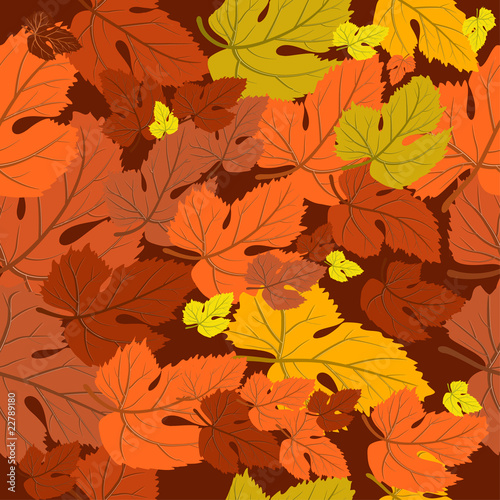 autumnal carpet of leaves