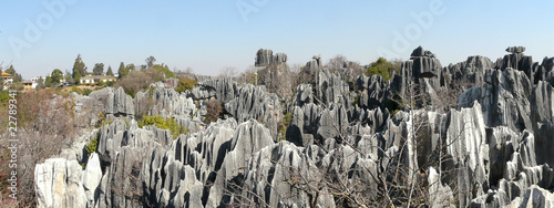 shilin stone forest photo