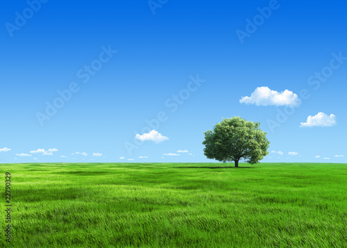 6000px nature collection - Green meadow 1 tree template
