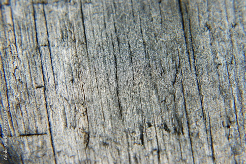 wood background