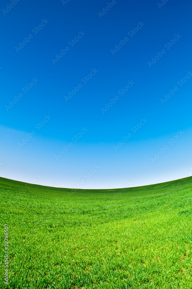 Naklejka premium landscape