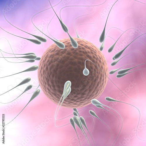 Fotografija 3d illustration of spermatozoon fecundating an ovule