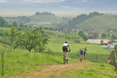 Mountainbiker im Schwarzwald