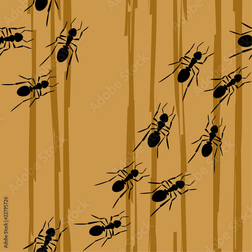 ants creep on a tree
