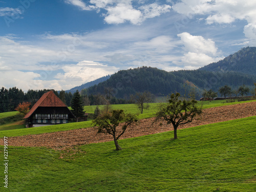 Schwarzwaldhaus im Herbst photo