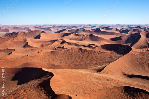 Desert Landscape #22798155