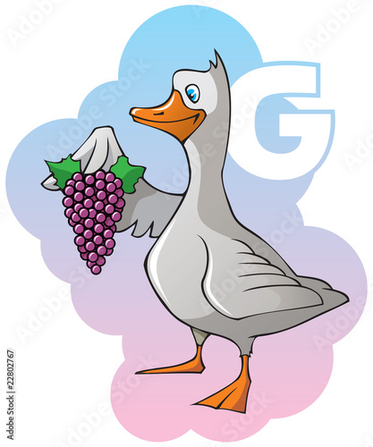 Children alphabet: letter G, goose and grapes, vector