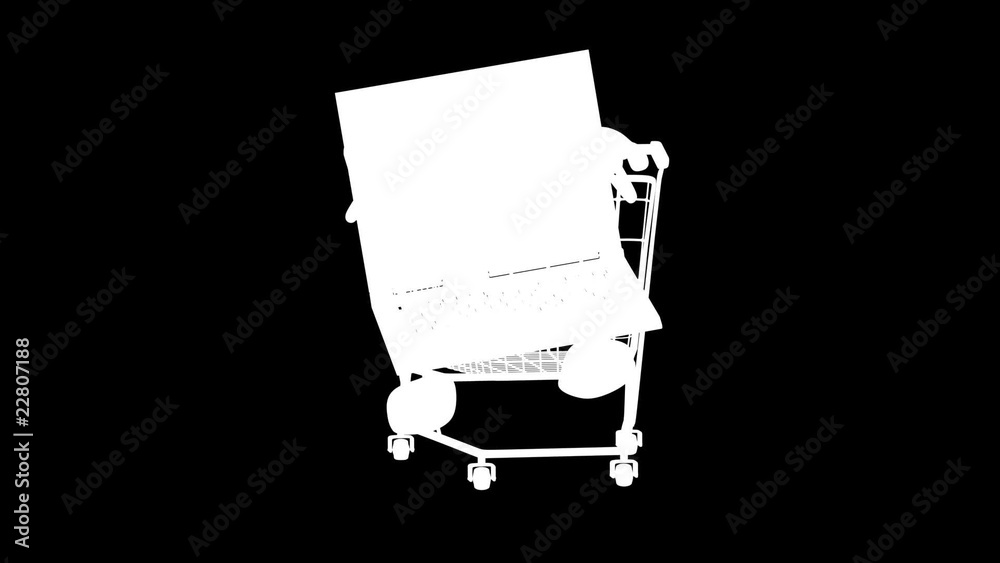 Ordinateur portable et shopping