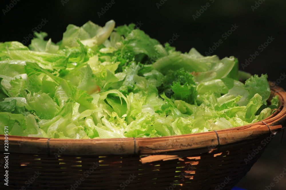 Fresh vegetable in basket