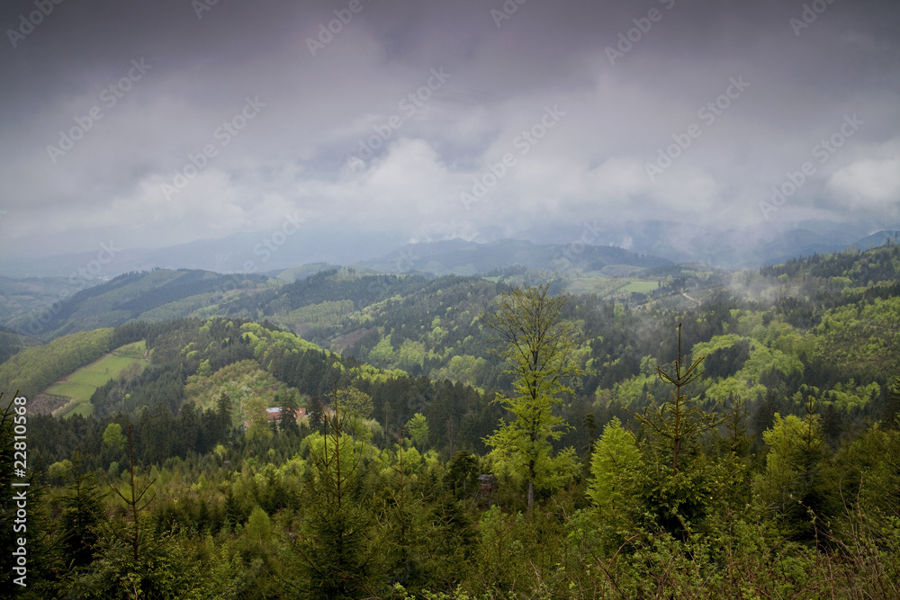 Schwarzwald bei Wolken