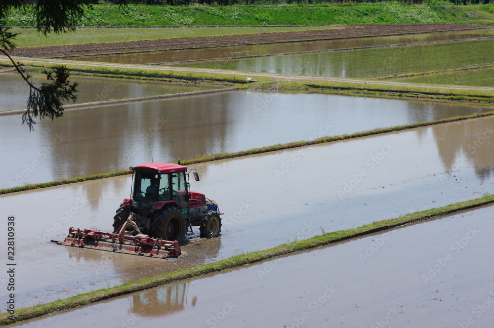 Naklejka premium 代掻き
