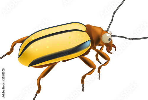 Insect a bug