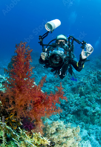 underwater photographer