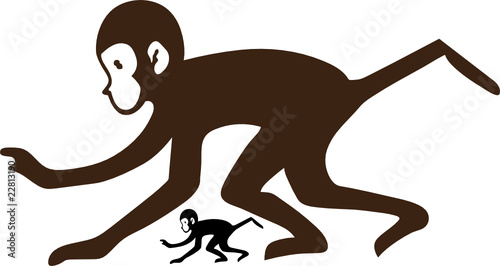 monkey vector illustration