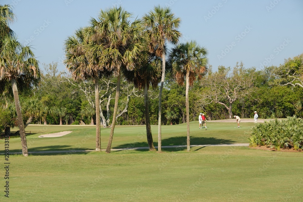 Obraz premium golf course