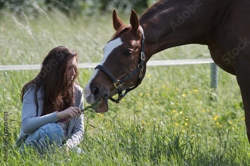 Cavallo al paddock 24 photo