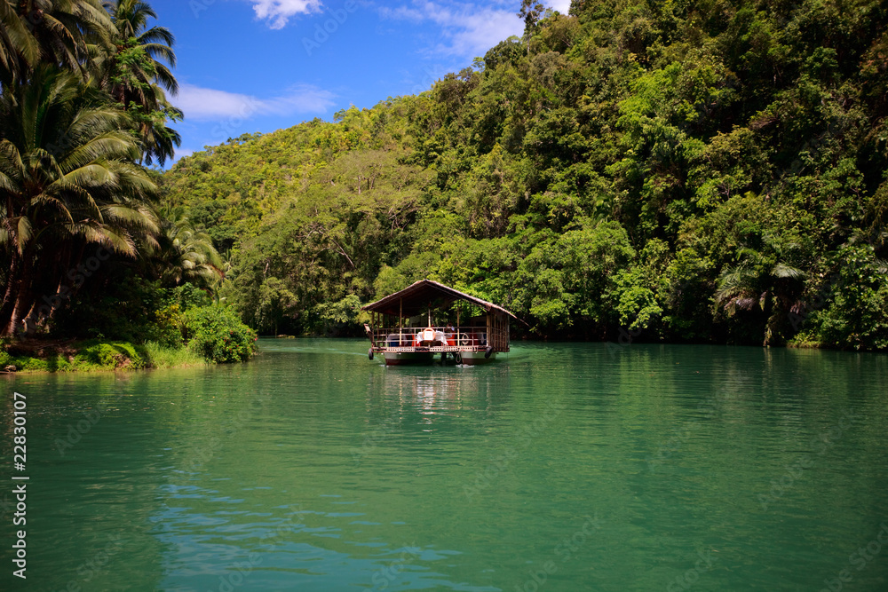 Obraz premium River cruise