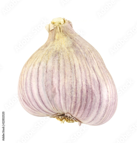 Wallpaper Mural A single garlic bulb with purple skin Torontodigital.ca