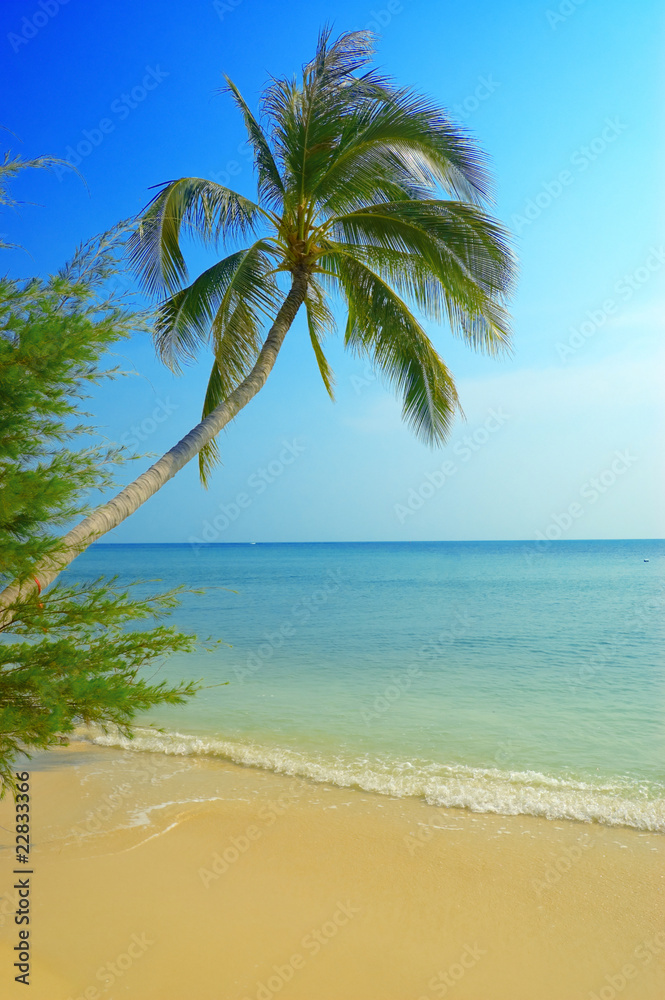 Fototapeta premium tropical beach