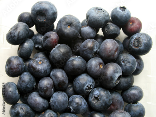Blueberry as Background