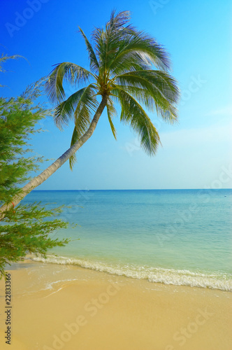 tropical beach © efired