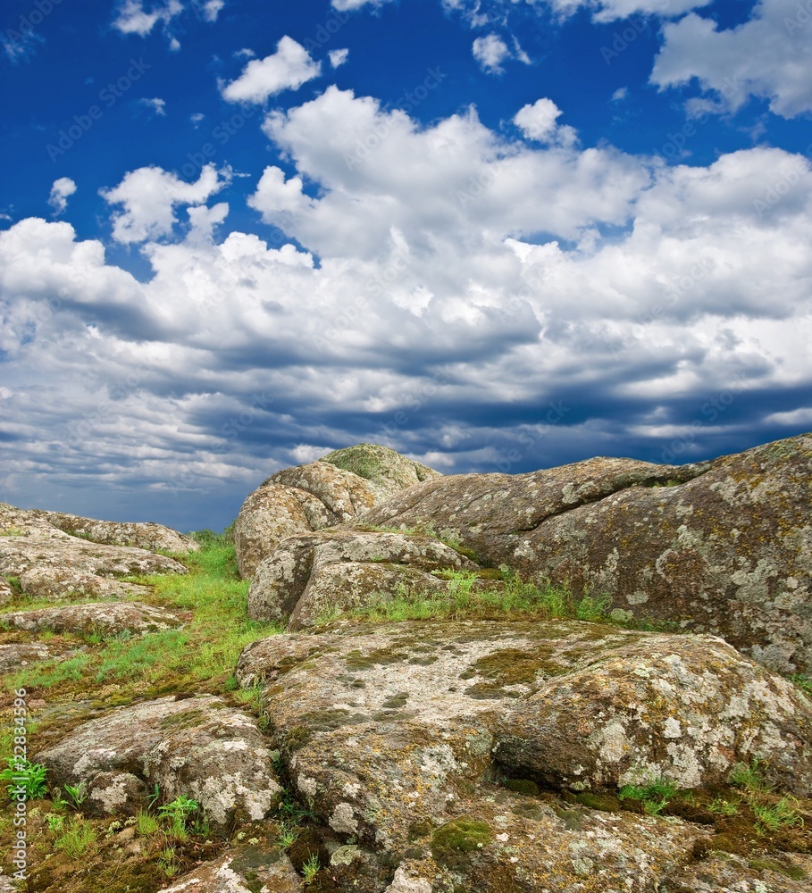 stony fields