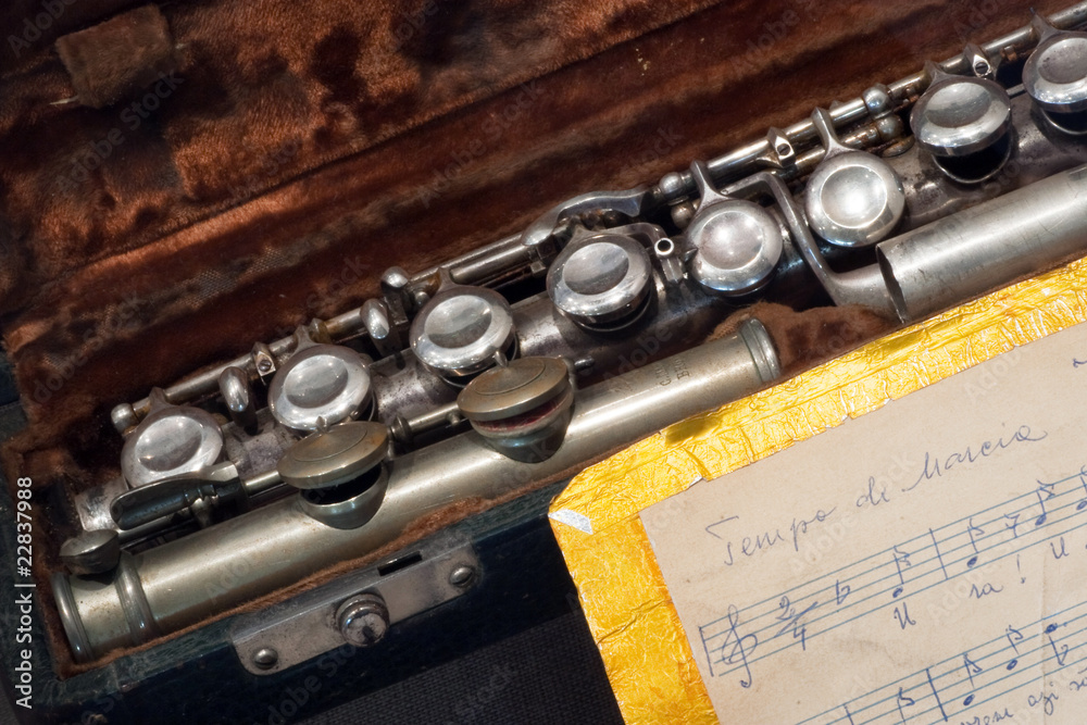 Obraz premium flute