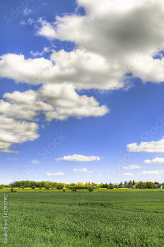 Scenic field with blue sky - HDR