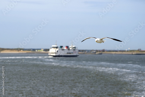 a seagull is flying in front of the ferry