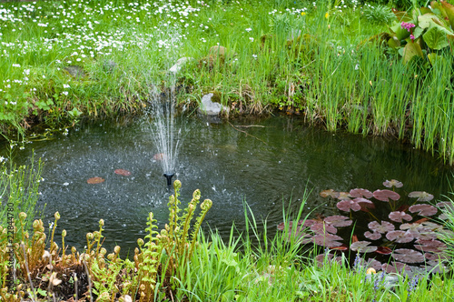 Gartenteich photo