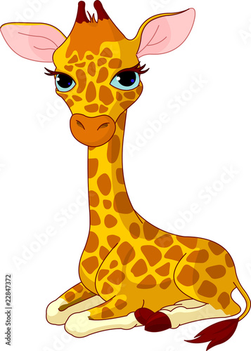Giraffe Calf