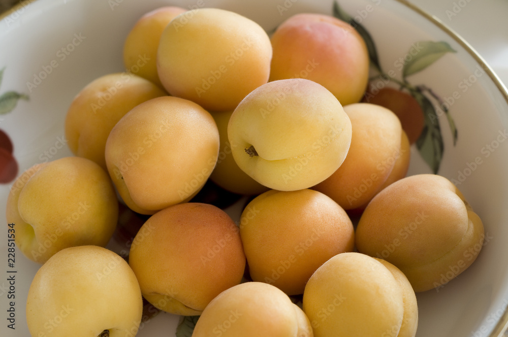 bowl of apricots bowl of apricots