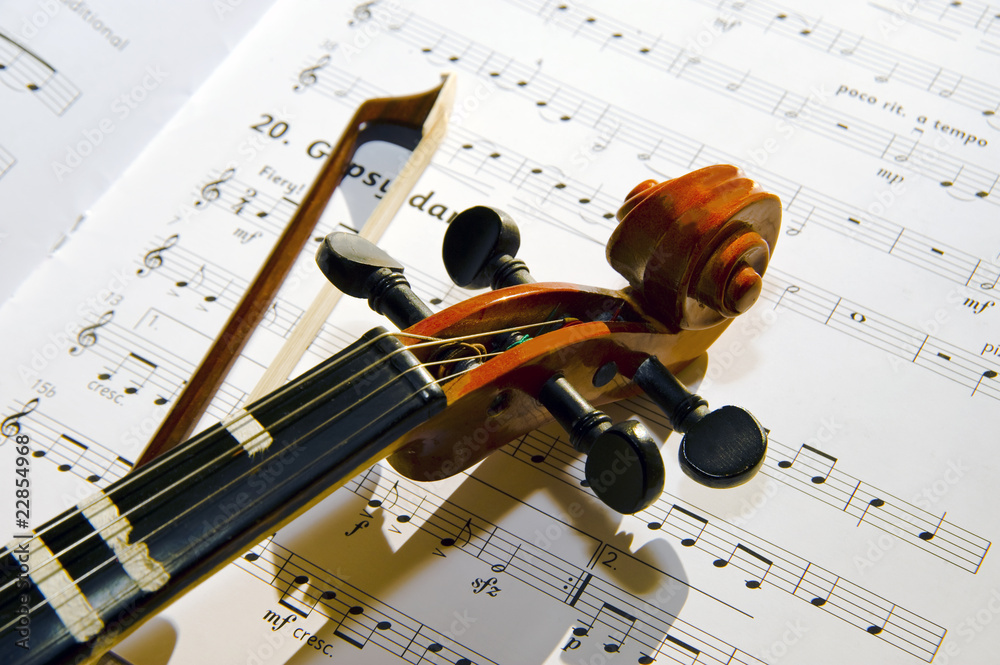 Naklejka premium Violin