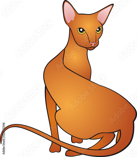Cat vector