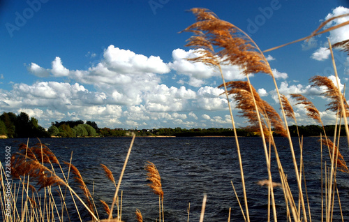 Windebyer Noor