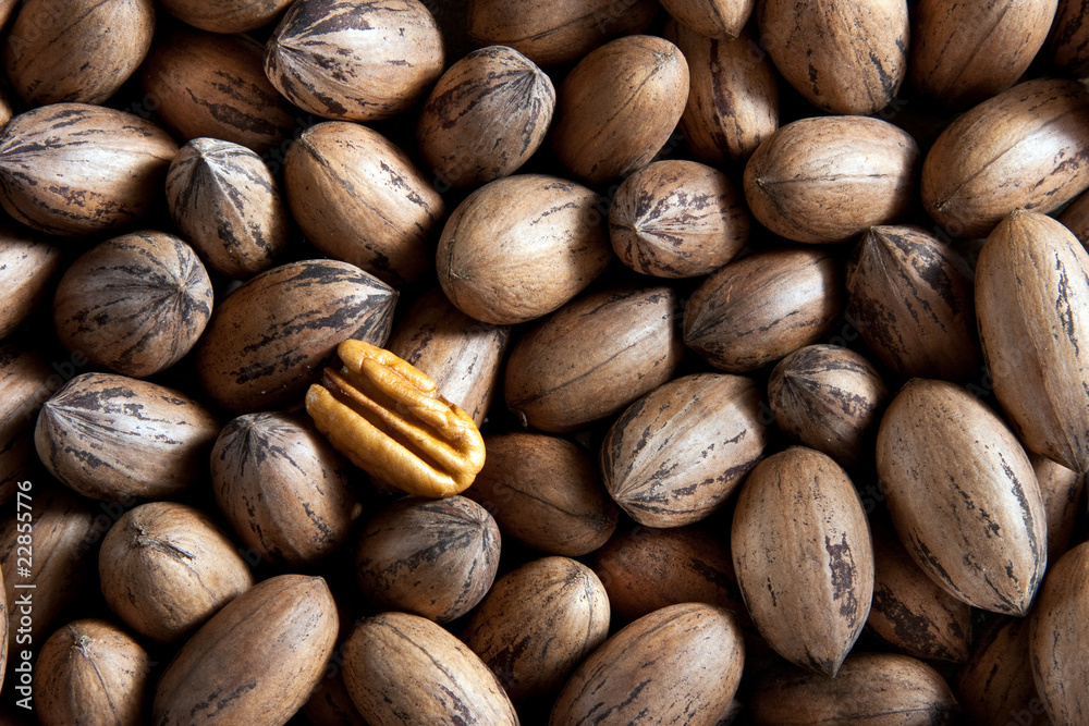Pecan nuts Pecan nuts