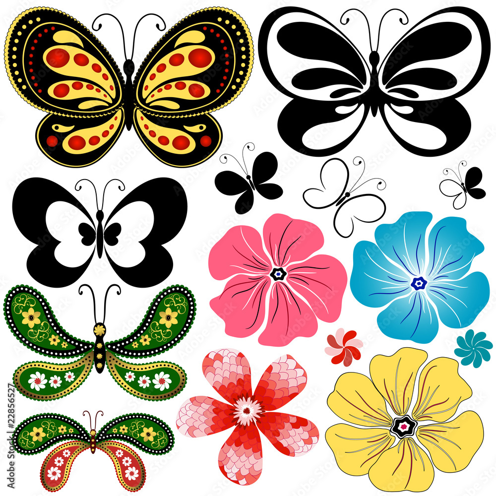 Obraz premium New collection butterflies and flowers