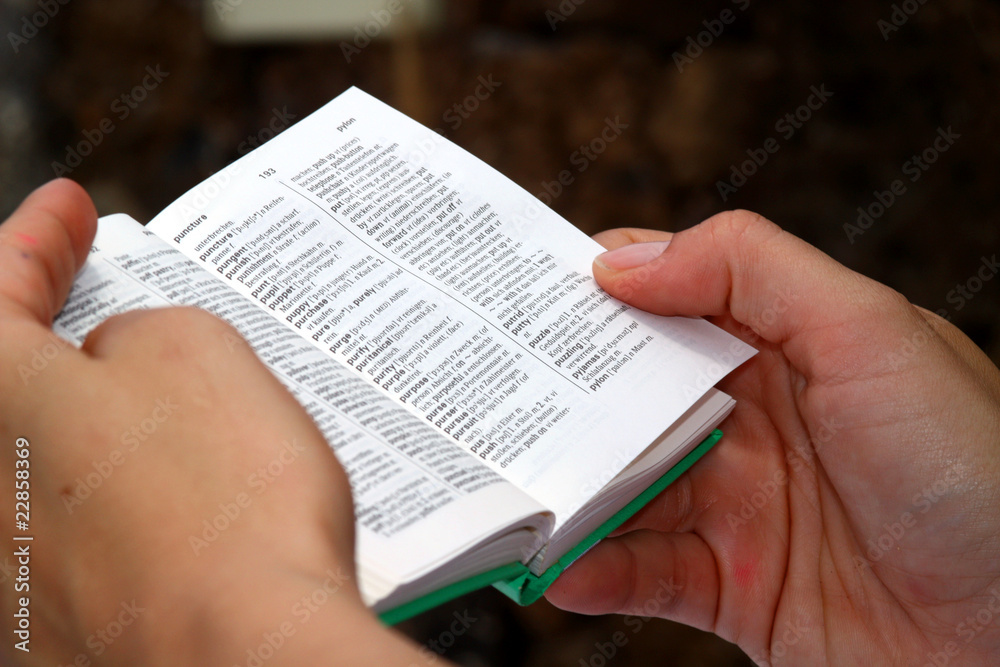 Naklejka premium Wörterbuch