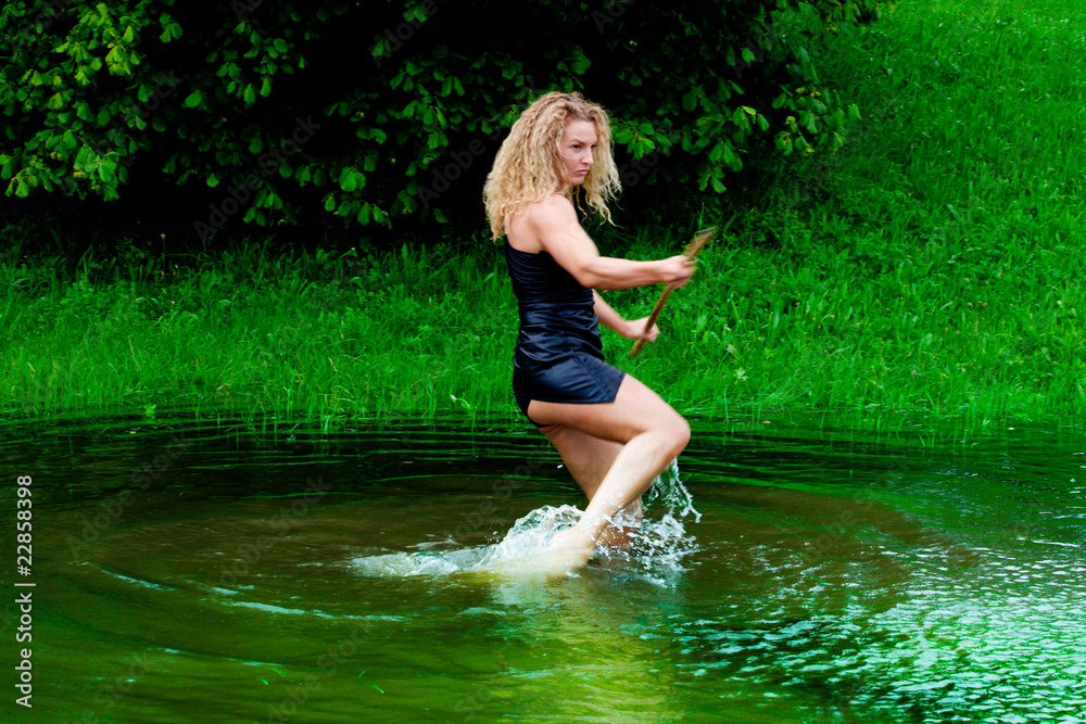 Kung fu girl Kung fu girl
