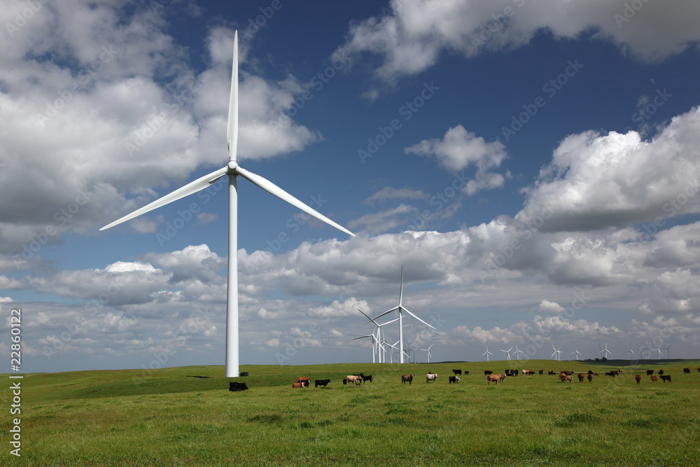 Fototapeta premium White Power Generating Wind Turbines