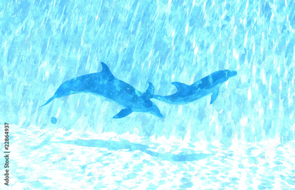 Fototapeta premium coppia di delfini