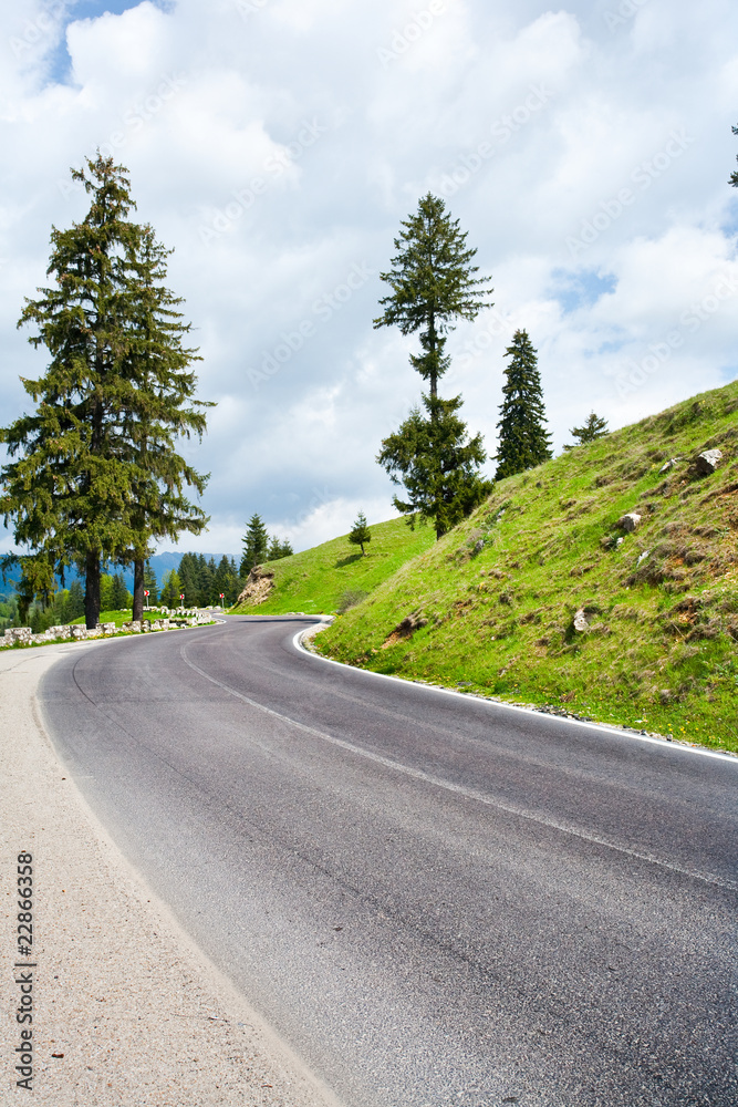 Naklejka premium Road