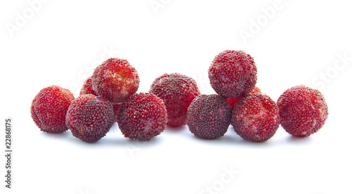 Waxberries photo