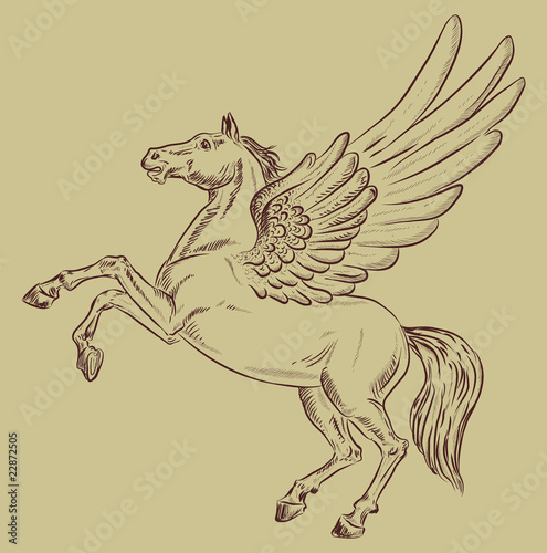 horse