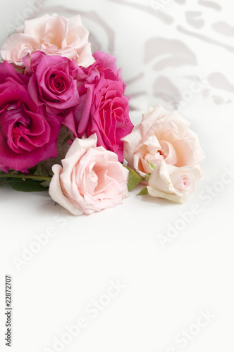 beauty roses © Miroslava Arnaudova