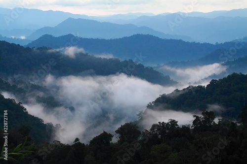 rainforest mountain ridges with evening mist, Thailand.
