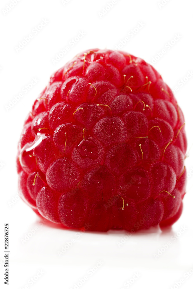 eine nahaufnahme einer Himbeere vor weißem Hintergrund