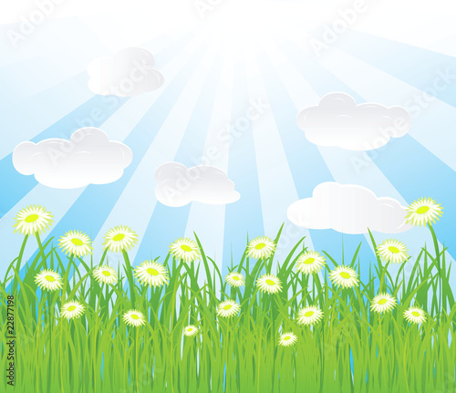 vector summer background