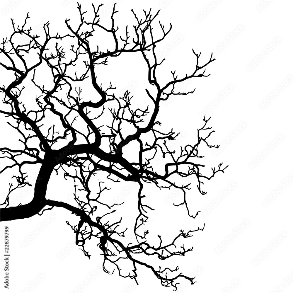 Fototapeta premium Vector of a tree silhouette illustration